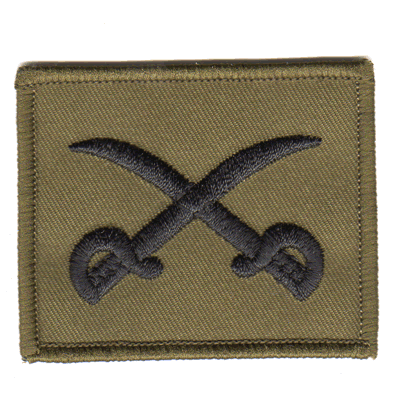 PTI Instructor Patch Olive