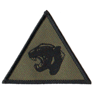 19 Mechanised Brigade Patch