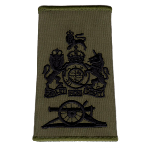 WO1 MG Olive Green Rank Slide